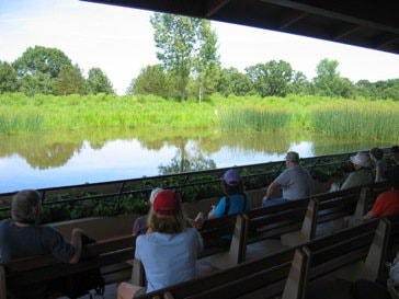 Una dintre cele mai mari reţele de zone umede din lume sprijină înfiinţarea Parcului Natural Văcăreşti