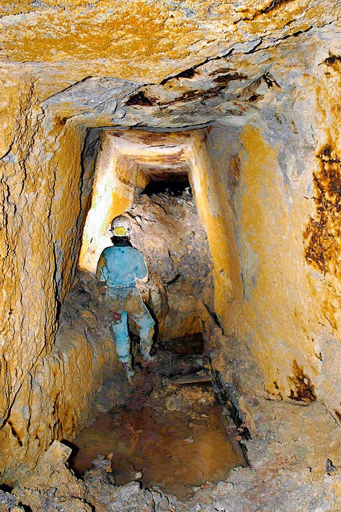 Conferinţă despre Roşia Montană la sediul OAR