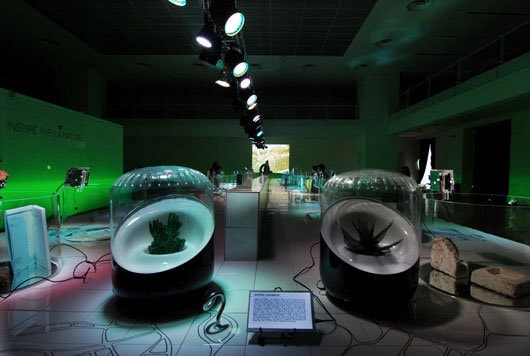 Inspiré par la Nature. Expoziţie