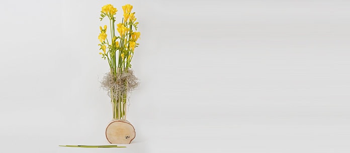 Primăvara YaU. COLORS