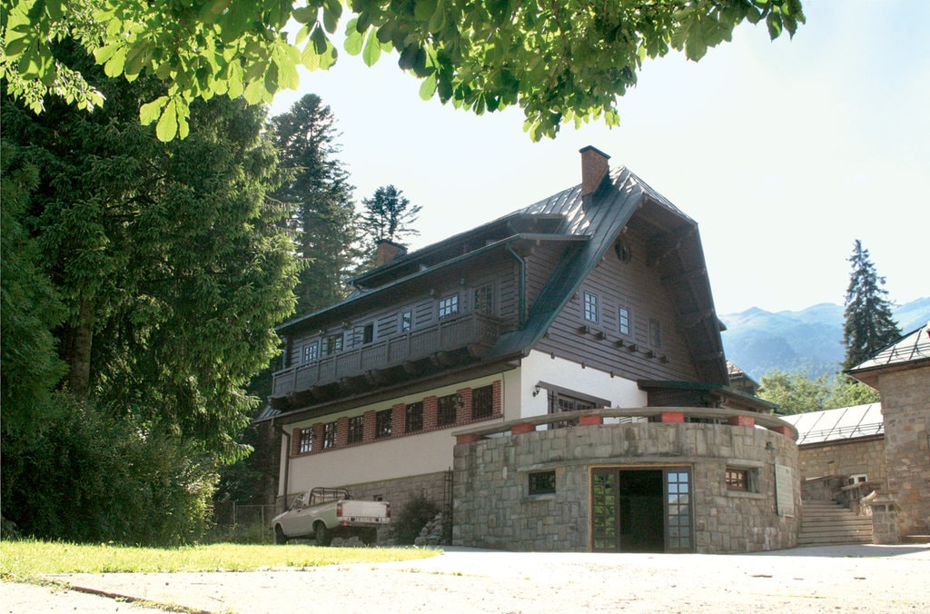 Ritmuri circadiene la mesteceni