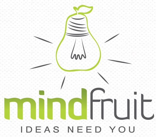 Mindfruit.ro – platforma de crowdfunding a oamenilor creativi
