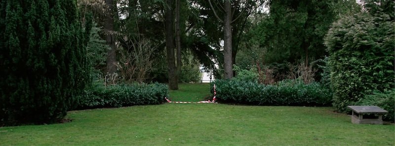 Pasaj Artisti : Michele Bressan, Lea Rasovszky, Larisa Sitar