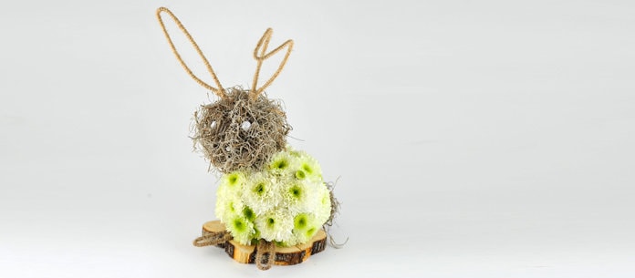 Colecţia YaU de primăvară 2014!