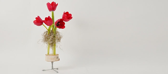 Primăvara YaU. COLORS