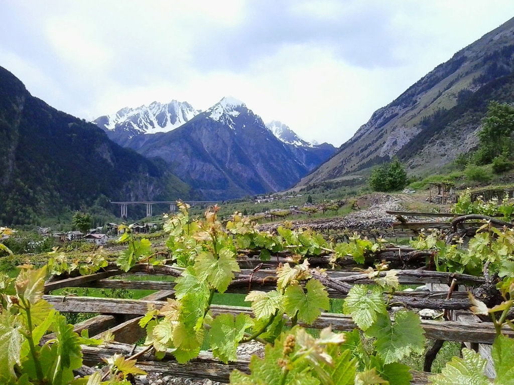 Cultura gustului: 3 ipostaze originale