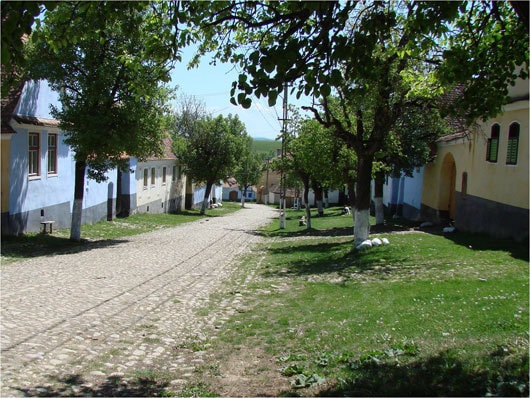 Marele Premiu al Galei Societăţii Civile 2010 pentru Fundaţia Mihai Eminescu Trust