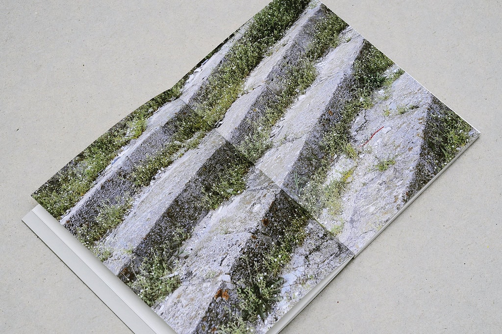 Vederi încântătoare