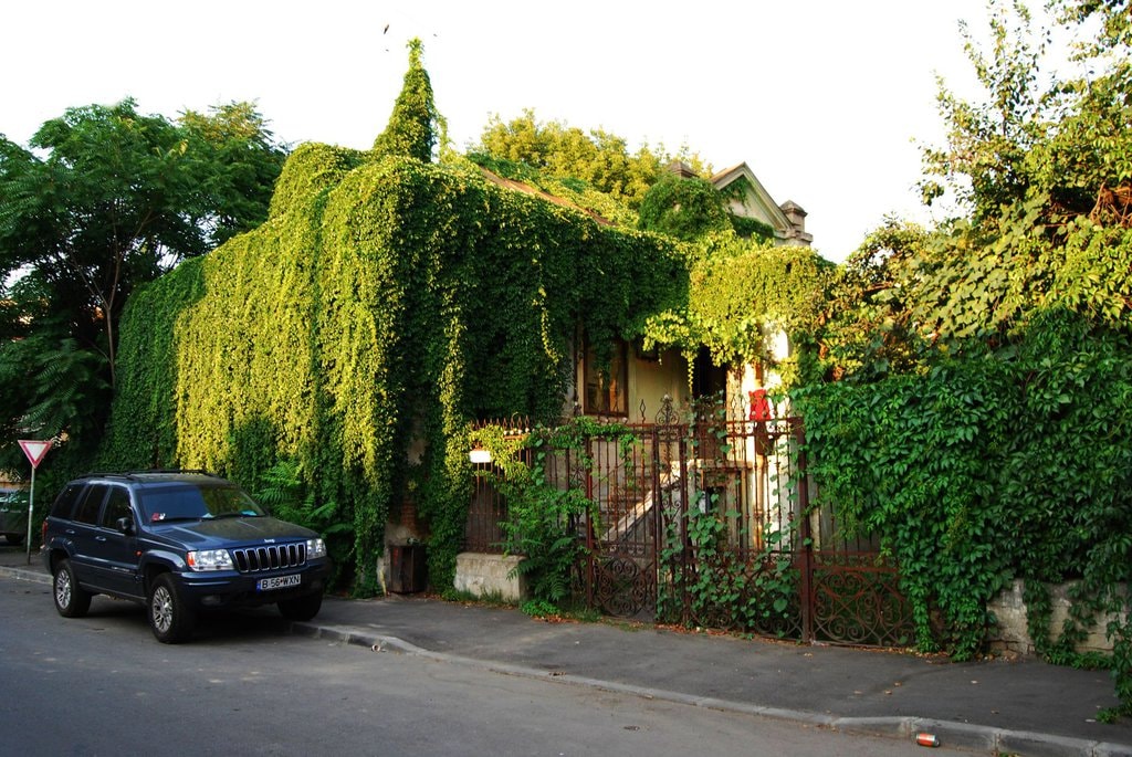 ÎMPREUNĂ - Întâlnire în cadrul proiectului Case Care [Nu mai] Plâng