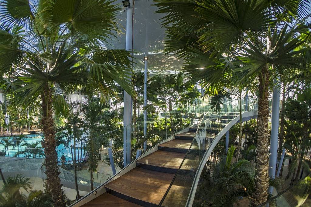 Bucureștiul devine Capitala termală a Europei. Se deschide Therme București