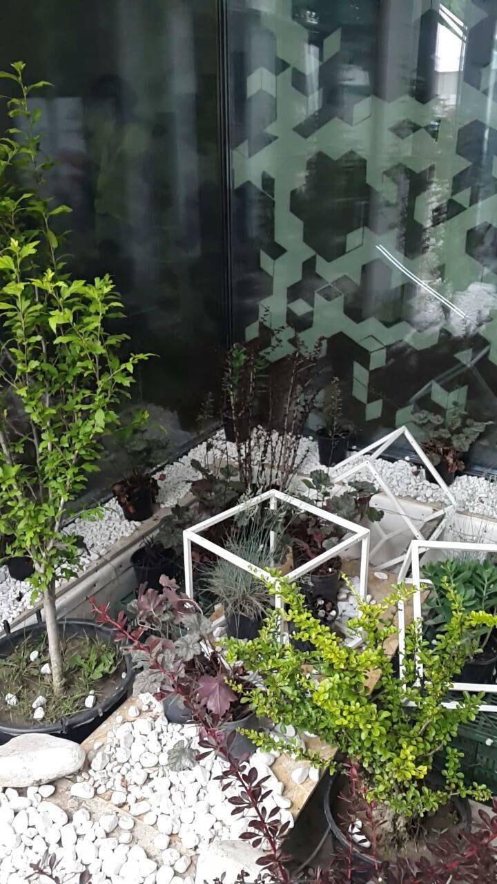 Prototipul EFdeN se pregăteşte de lansarea oficială