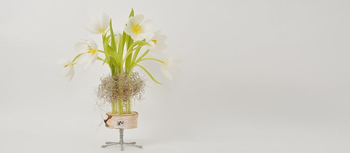 Primăvara YaU. COLORS