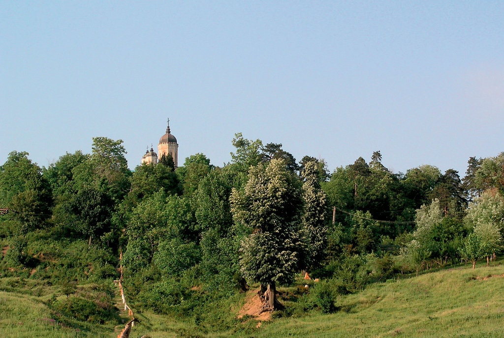 Biserica de pe dealul cu vii