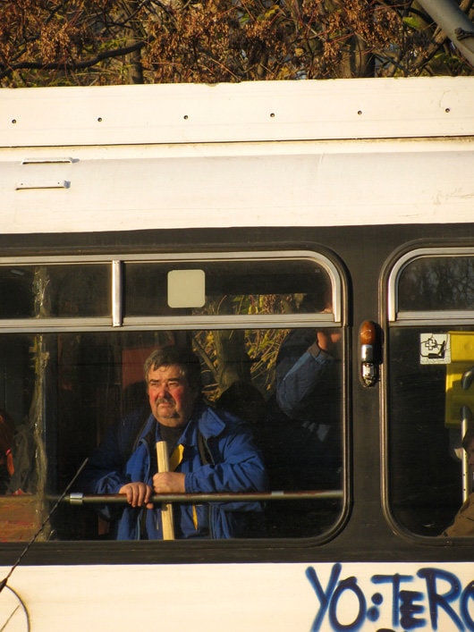 SurExpositions / MOB 2011. Frânturi de Paradis