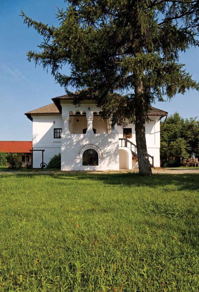 Conacul Otetelişanu