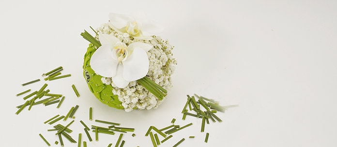 Primăvara YaU. COLORS