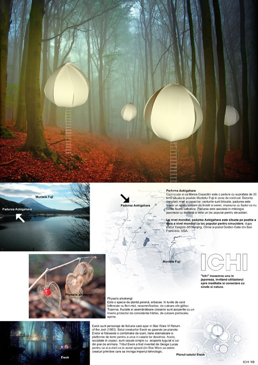 INSPIRED 2012 şi-a desemnat câştigătorii