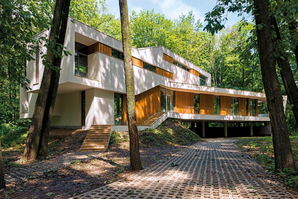 Trunchiuri, vreascuri, frunze