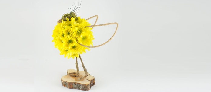 Colecţia YaU de primăvară 2014!