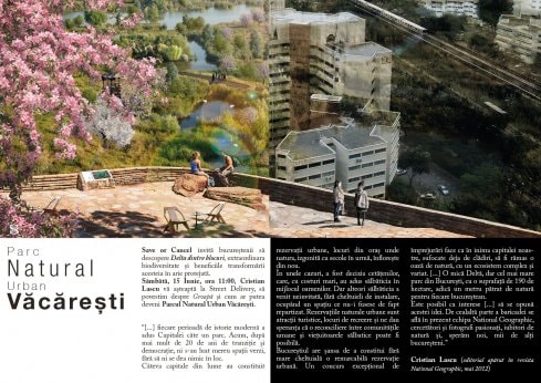 De văzut la Street Delivery în acest weekend