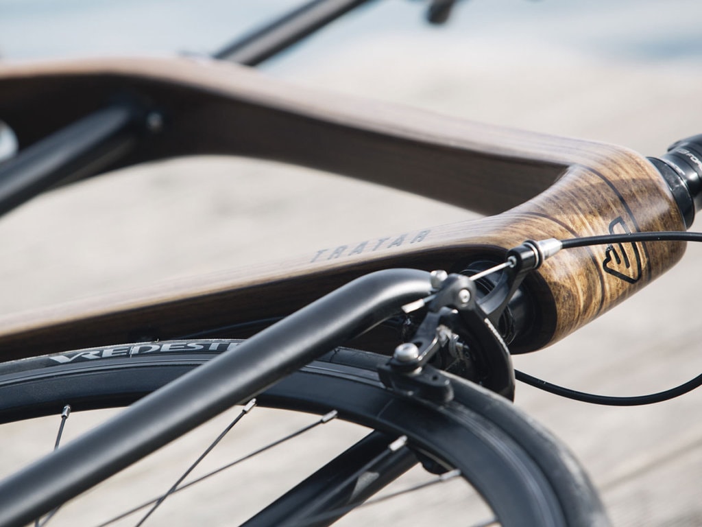 Cu bicicleta prin oraş / Modelul Tratar