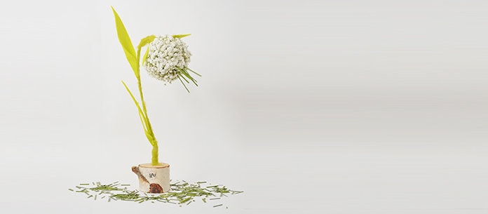 Primăvara YaU. COLORS