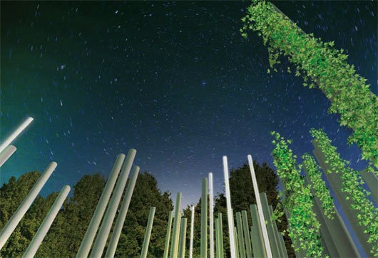 Câştigătorii concursului ARHETIPURI