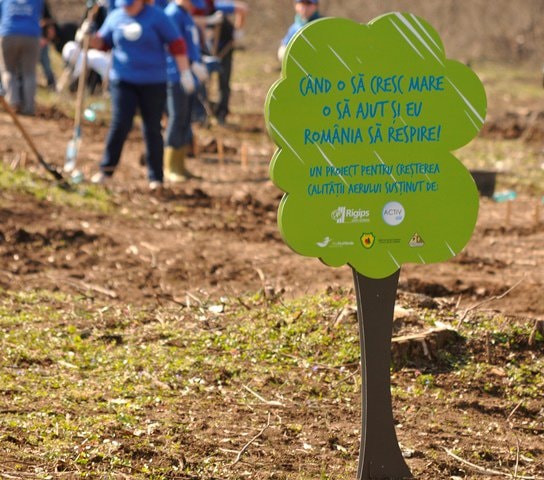 Saint-Gobain Rigips și Asociaţia MaiMultVerde au plantat 5.000 de copaci în Parcul Natural Comana