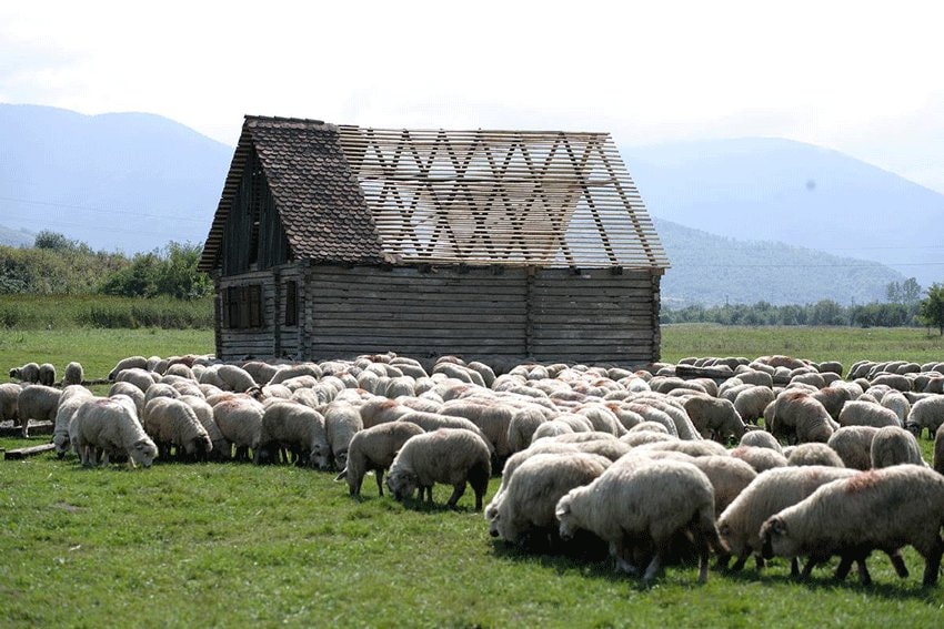 Festivalul CUCA, între 29-31 august @Cârțișoara