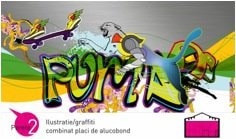 A fost aleasa cea mai spectaculoasa lucrare la PUMA Social Design Competition