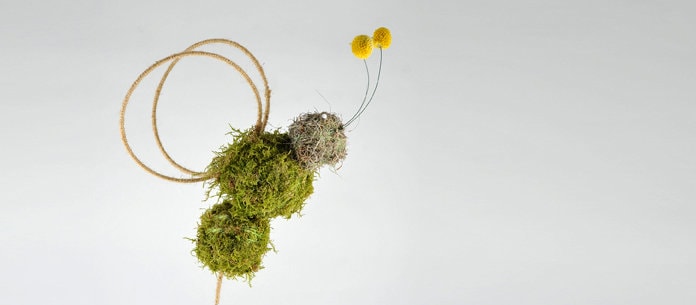 Colecţia YaU de primăvară 2014!