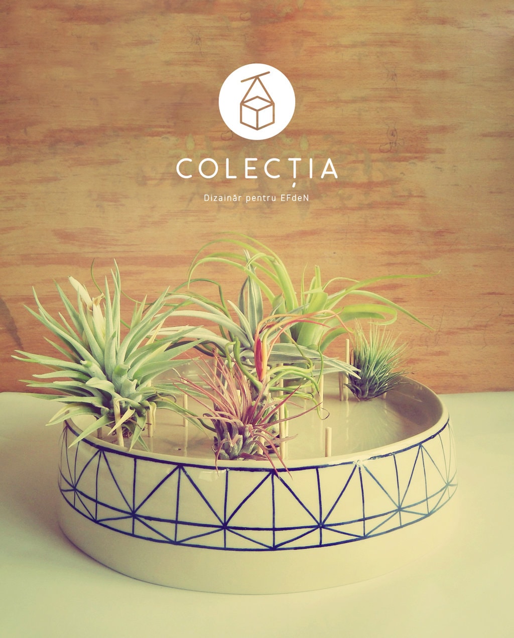 Noua colecție Dizainăr pentru EFdeN lansată în septembrie la BIFE-SIM 2014