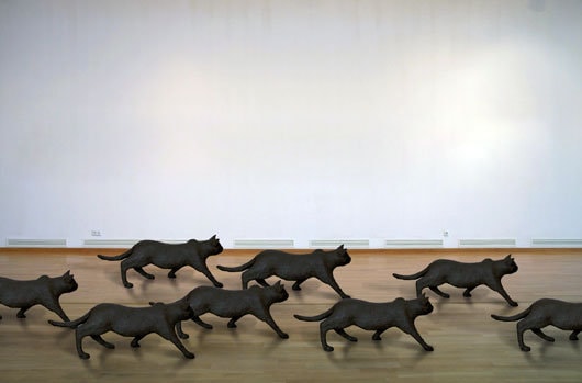 Expoziţia ZOOMANIA.RO la MNAC