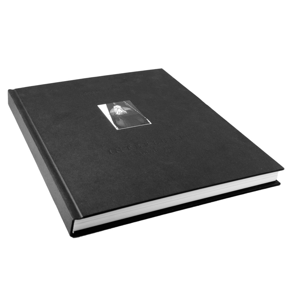 „Interludii” un nou album iglooart