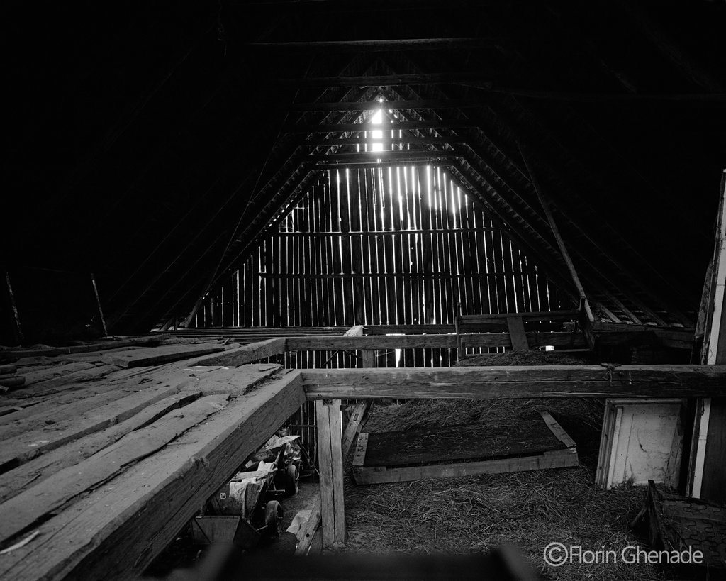 Evenimentele Loc. Școala de privit acasă 2014, la Șona, se încheie duminică, 31 august