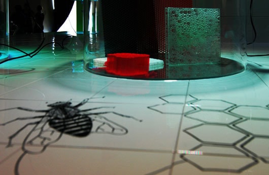 Inspiré par la Nature. Expoziţie