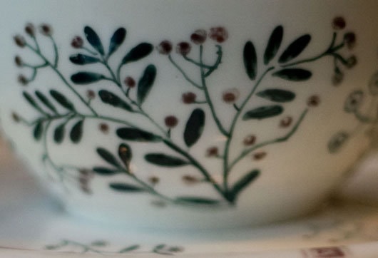 Expoziţie Ştefan Câlţia / Ceşti cu plante de pe deal