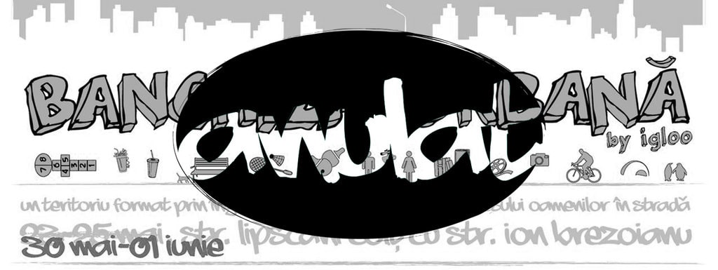 Banchiza urbană. Igloo – ANULAT