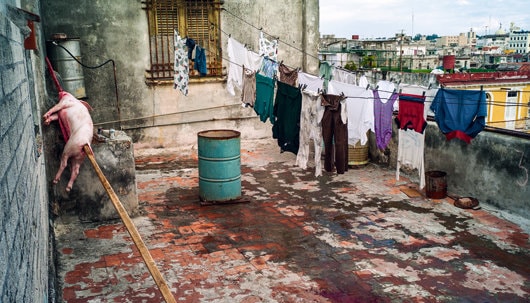 Soarele, bată-l vina!