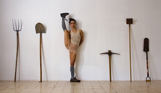 DAILY REPORTS. Arta video israeliana