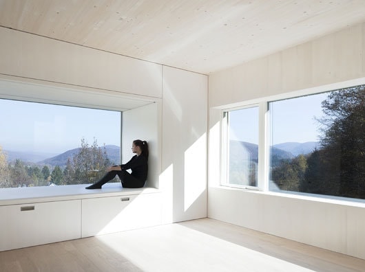 Juri Troy la Bucureşti