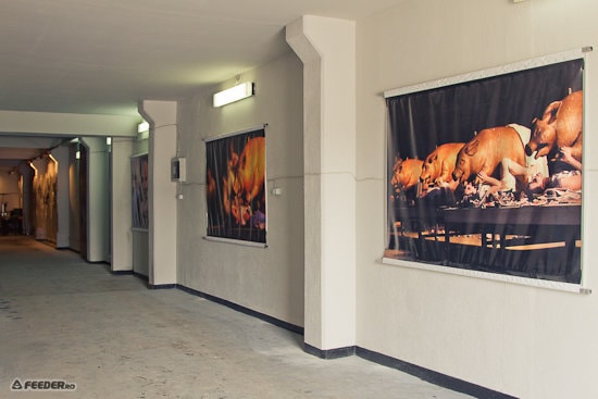 Lansarea Turbohalle - fosta hală industrială se transformă în cel mai mare spaţiu creativ din Bucureşti