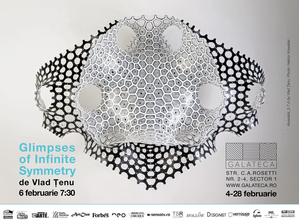 Glimpses of Infinite Symmetry, Vlad Ţenu