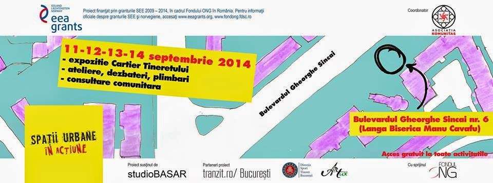 Intervenții în spațiul public din cartierul Tineretului