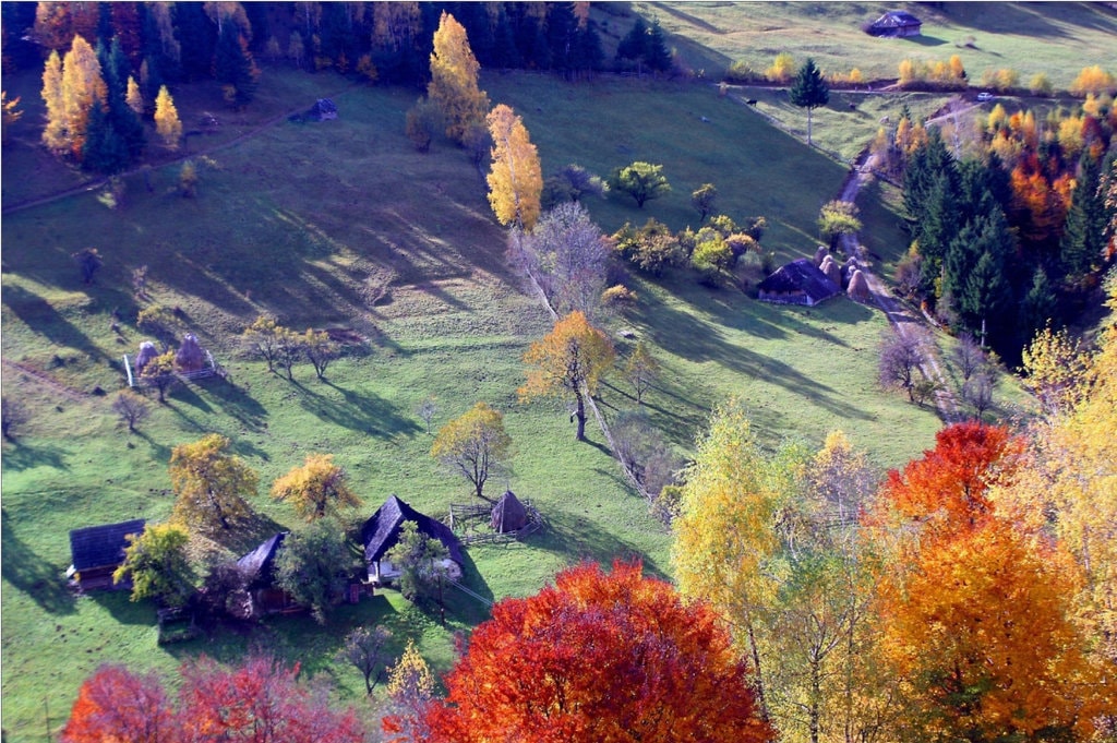 De văzut la Street Delivery în acest weekend