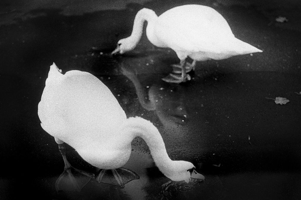 Patricia Moroșan și fotografia ca arhivă a unei lumi interioare