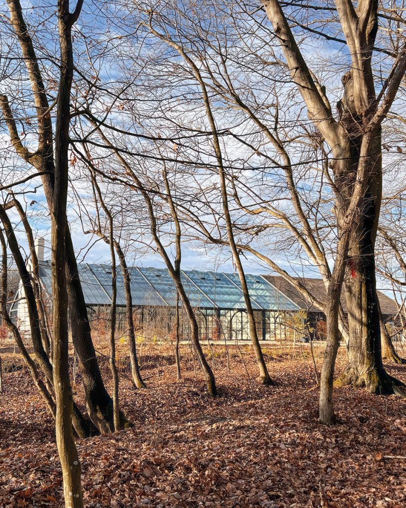 Peisaj continuu: Orangeria Iris