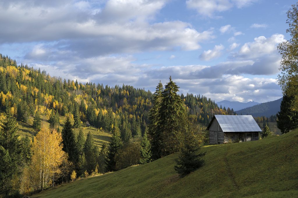 La Câmpulung Moldovenesc, cutreierând peisajul rural și urban cu Daniel Miroțoi