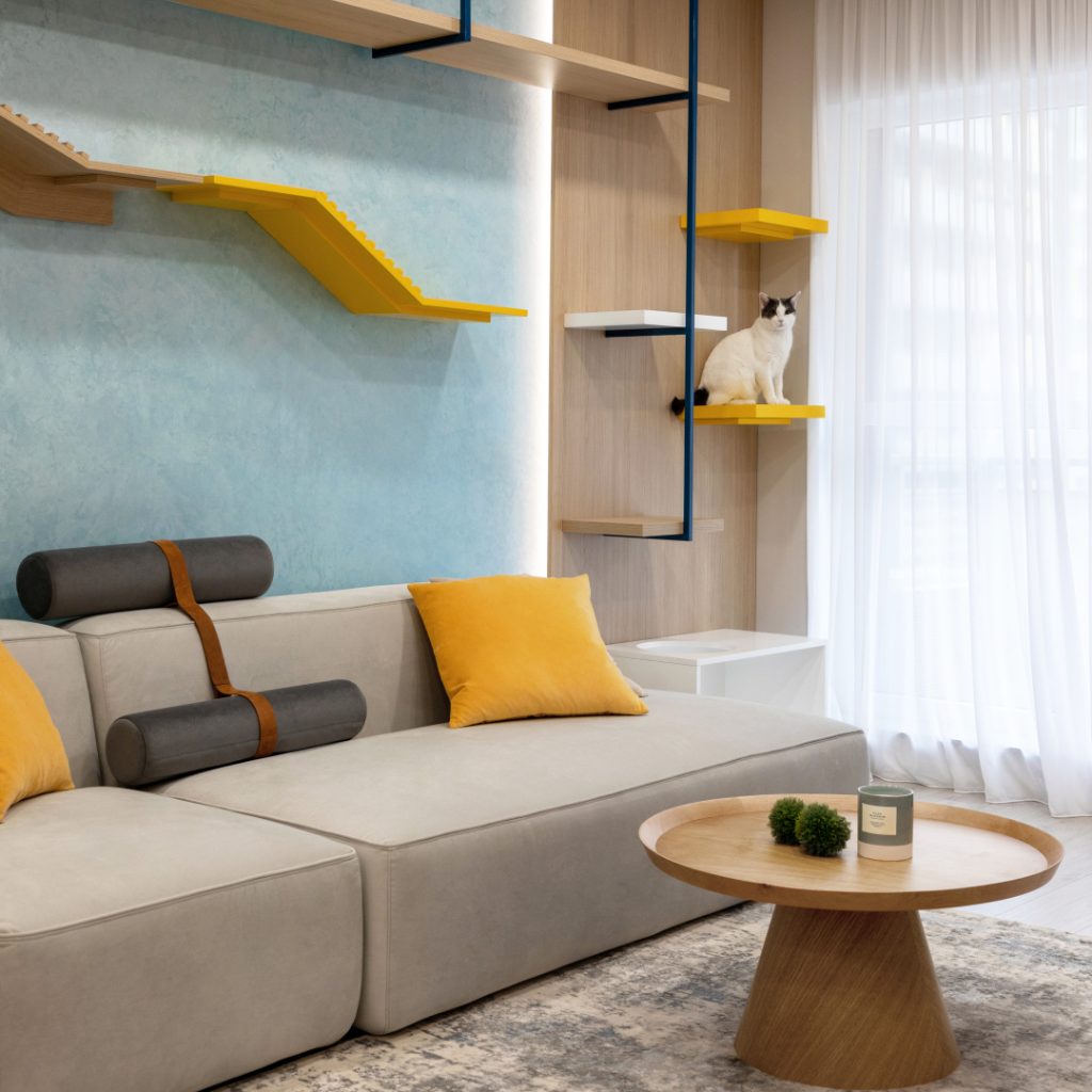 O oază pentru pisici într-un mic apartament din București