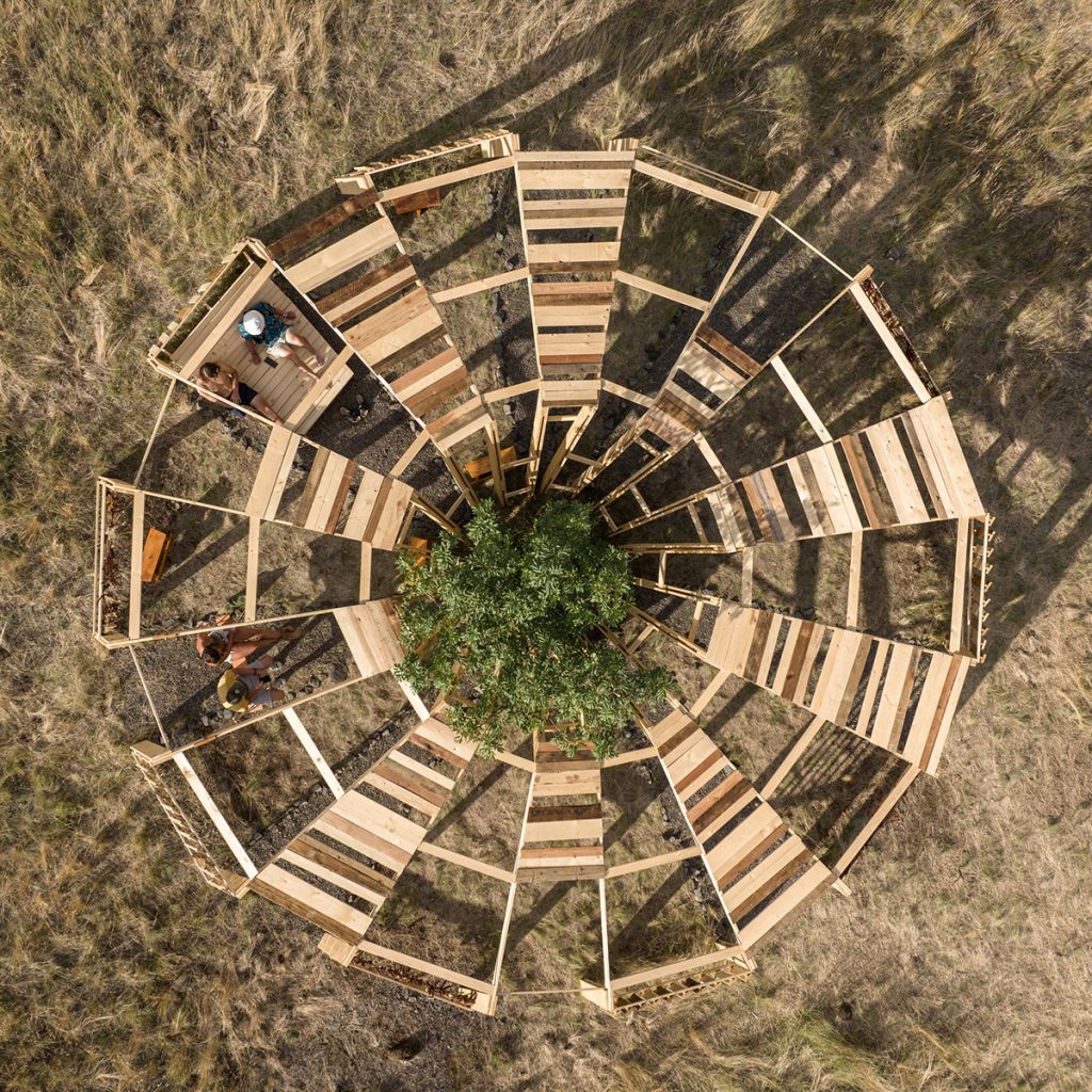 Efemeritate, continuitate și transformare în structurile temporare din lemn ale Școlii de vară Hello Wood